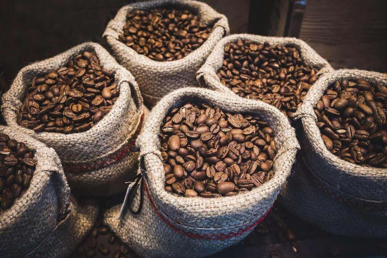 Coffee Robusta