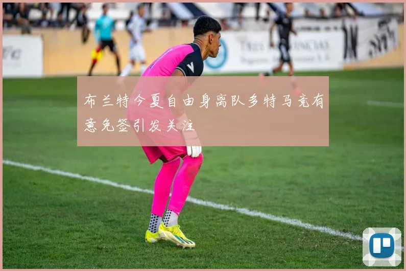 布兰特今夏自由身离队多特马竞有意免签引发关注