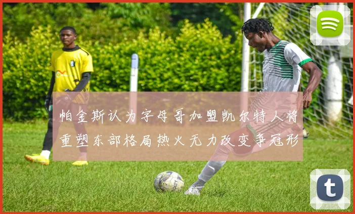 帕金斯认为字母哥加盟凯尔特人将重塑东部格局热火无力改变争冠形势