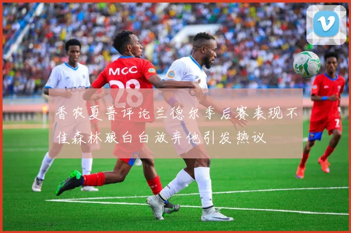 香农夏普评论兰德尔季后赛表现不佳森林狼白白放弃他引发热议