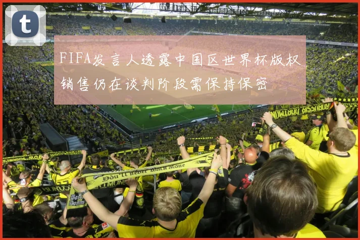 FIFA发言人透露中国区世界杯版权销售仍在谈判阶段需保持保密