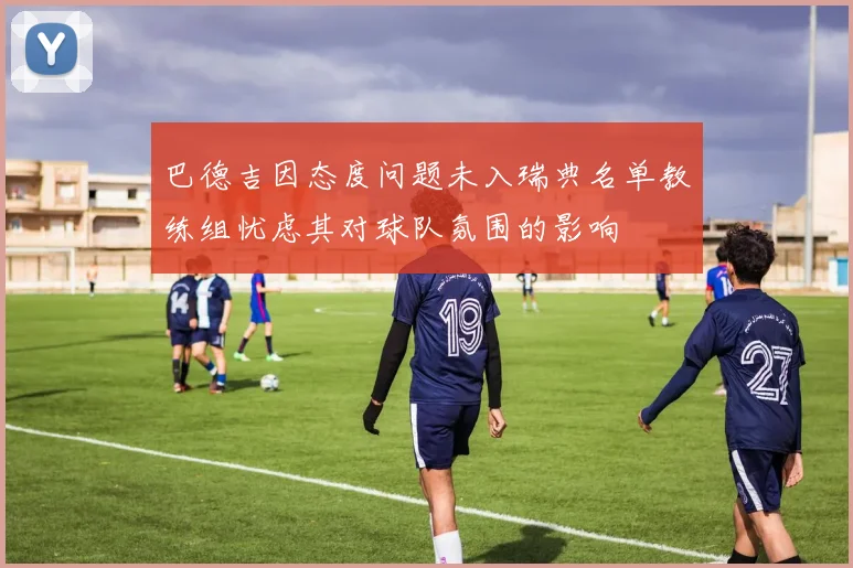 巴德吉因态度问题未入瑞典名单教练组忧虑其对球队氛围的影响